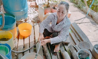 Yêu cầu cấp nước liên tục, ổn định cho người dân sau phản ánh của Tiền Phong