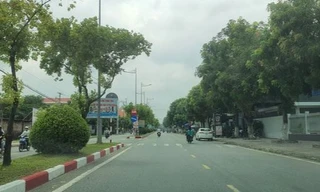 Bộ Công an yêu cầu Bạc Liêu nêu rõ lý do chưa cung cấp đầy đủ hồ sơ dự án cây xanh