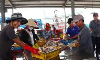 Cà Mau quyết liệt xoá tàu cá '3 không' 