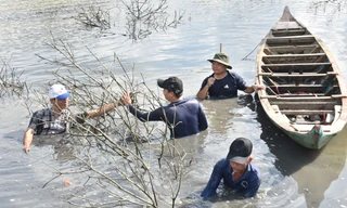 Về Đất Mũi xem nông dân dỡ chà bắt cá