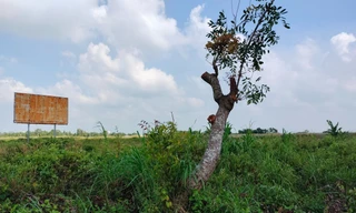 Toà bác yêu cầu của doanh nghiệp kiện UBND tỉnh Bạc Liêu