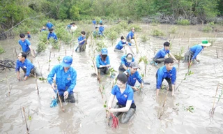 Tháng Thanh niên năm 2025: Thanh xuân sôi nổi nơi đất cực Nam 