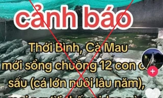 Bị phạt 7,5 triệu đồng vì đăng tin hóng hớt '12 con cá sấu xổng chuồng' 