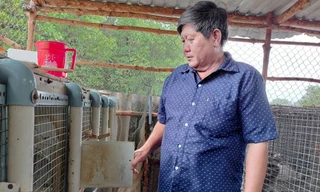 Nông dân Đất Mũi khổ sở sống chung với ‘chồn tặc’