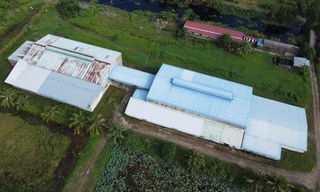 Doanh nghiệp xây trái phép nhà máy, văn phòng hơn 3ha trên đất lúa