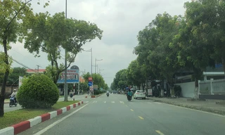 Bạc Liêu bổ sung báo cáo gửi Cơ quan điều tra Bộ Công an về các dự án cây xanh