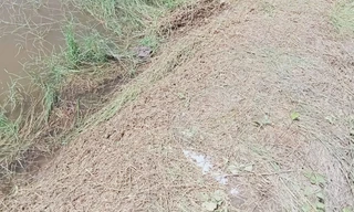 Cà Mau: Người đàn ông đi cắt cỏ bị sét đánh tử vong