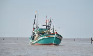 Ảnh minh hoạ