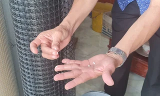 Phát hiện ‘gạo lạ’ ở Hậu Giang