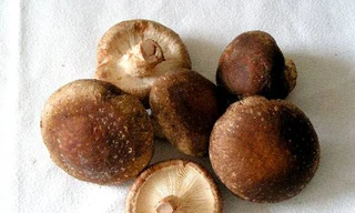 Cách bảo quản đồ khô trong bếp