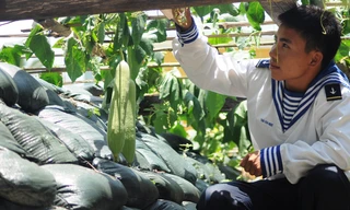 Kỳ 2: Vườn treo và hồ cá giữa đại dương