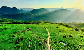 Ruộng bậc thang xanh mướt mùa lúa non 'đốn tim' du khách 