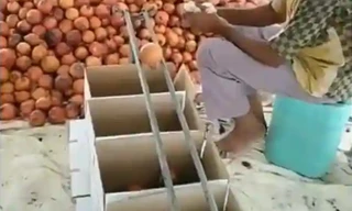 Phân loại trái cây