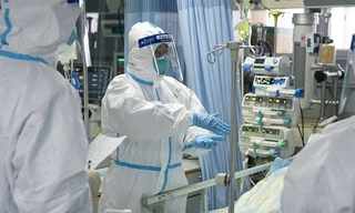 Chiến đấu với đại dịch