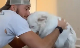 Người chủ đánh thức chú chó dậy