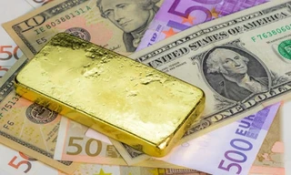 Tìm được vàng khi về quê cách ly