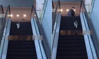 Chỉ là chú mèo chạy nhầm chiều thang cuốn vậy mà hơn 6 triệu người xem, lý do là gì vậy?