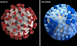 COVID-19 và cúm mùa