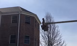 Dùng xe cẩu thăm mẹ