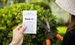 Nằm mơ trúng xổ số, hóa ra trúng thật