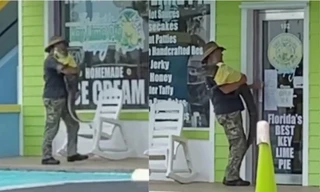 Cá sấu được bế đi chơi như em bé