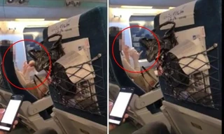 Cô gái Hàn gây phẫn nộ vì phạm luật, còn thách thức hỏi “Biết bố tôi là ai không?”