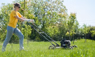 Nếu bạn định làm điều gì đó, hãy cố gắng làm cho thật đúng