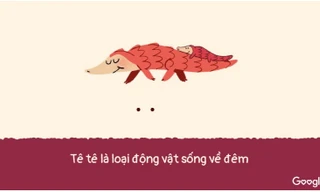 Google tung chiêu đặc biệt chào mừng Valentine