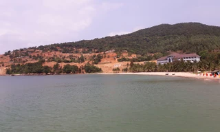 Theo Chủ tịch Hiệp hội Du lịch Đà Nẵng Huỳnh Tấn Vinh, bán đảo Sơn Trà cần phải được phát triển du lịch để không bị bỏ phí. Song phải phát triển theo hướng du lịch sinh thái bền vững. 