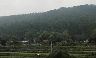 Rừng phòng hộ núi Ngang có bị xoá sổ bởi nghĩa trang? 