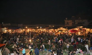 Chợ hoa Quảng Bá lọt top điểm đáng đến nhất châu Á dịp Tết Nguyên đán