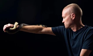 Tiêm nọc rắn để điều trị rắn cắn: Mạo hiểm hay đột phá khoa học?