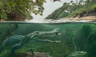 Phát hiện cá sấu khổng lồ cổ đại từng ăn thịt khủng long