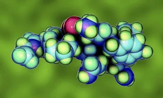 Hướng mới điều trị vô sinh nhờ 'hormone tình yêu' 