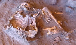 ADN cổ đại tiết lộ dòng dõi con người chưa từng được biết đến