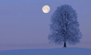 'Trăng Sói' nuốt chửng sao Hỏa trong tuần này