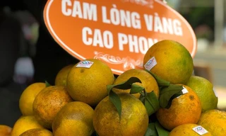 Cam Cao Phong chính vụ nhưng giá rẻ được bày bán tại nhiều siêu thị ở Hà Nội