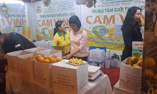 Gần Tết, đặc sản vùng miền đổ về Hà Nội