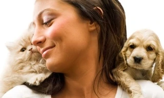 Liệt chi vì ngủ cùng thú nuôi