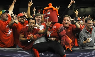 Linh vật ngộ nghĩnh của các trường đại học Mỹ