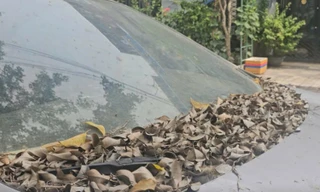 Xe 7 chỗ 'chết lâm sàng' cả năm trước nhà dân, công an TPHCM tìm chủ nhân