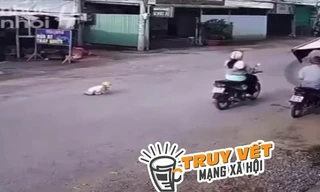 Phẫn nộ cảnh mẹ bỏ con 18 tháng tuổi giữa đường đông xe cộ