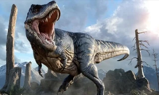 Bằng chứng tổ tiên của khủng long bạo chúa từng sống trên đảo Skye ở Scotland