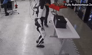 Elon Musk khoe robot Optimus làm việc nhà, gây sốt mạng xã hội