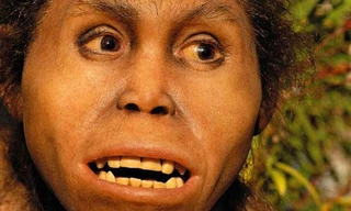 Phát hiện dấu vết sinh vật tông Người bí ẩn 2 triệu năm trước?