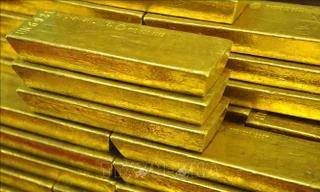 Phát hiện hai mỏ vàng khổng lồ ở Trung Quốc, trữ lượng có thể vượt 1.000 tấn