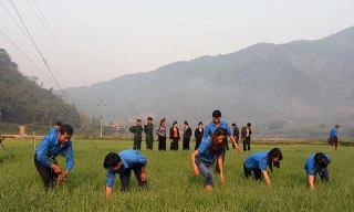 Chính phủ yêu cầu tiếp nhận đội viên thuộc đề án 500 tri thức trẻ vào công chức xã