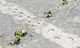 'Thế giới đã mất' hiện ra giữa mỏ đá, gây sốc cho khoa học