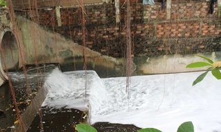 Kết quả xác minh ban đầu vụ 'suối sủi bọt trắng ở Biên Hòa'