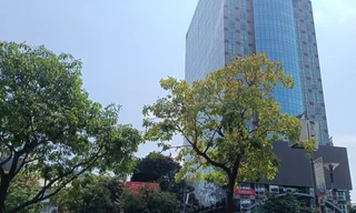 Xảy ra động đất, làm gì khi ở trên tầng cao?